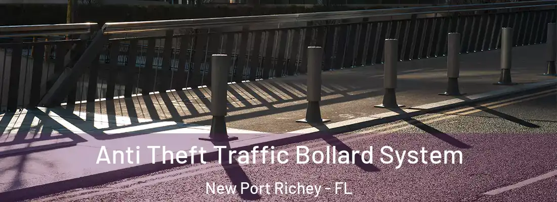  Anti Theft Traffic Bollard System New Port Richey - FL