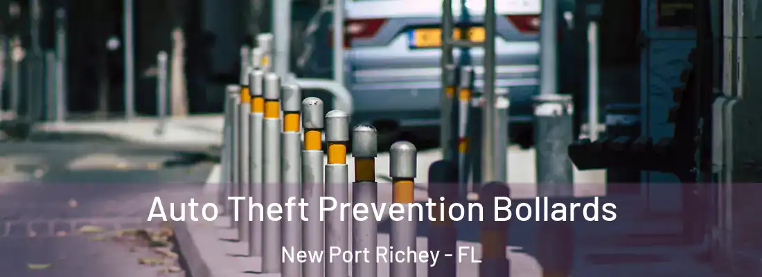  Auto Theft Prevention Bollards New Port Richey - FL