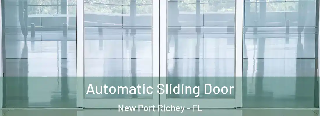  Automatic Sliding Door New Port Richey - FL