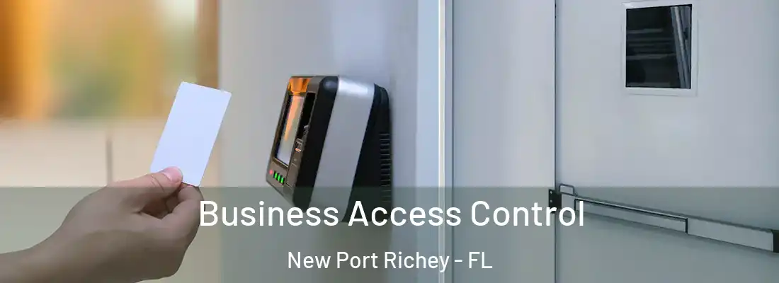  Business Access Control New Port Richey - FL