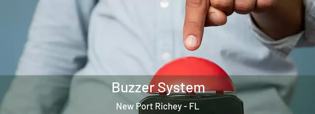  Buzzer System New Port Richey - FL
