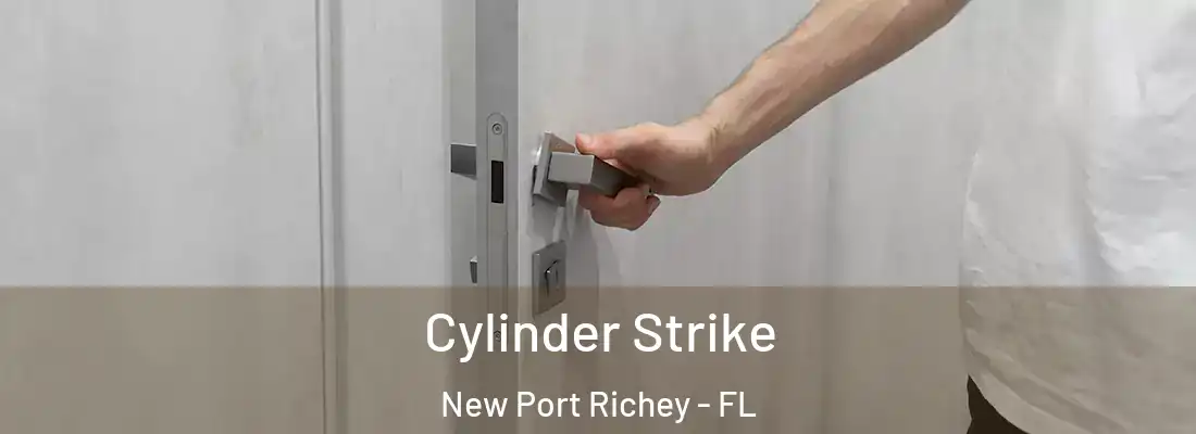  Cylinder Strike New Port Richey - FL