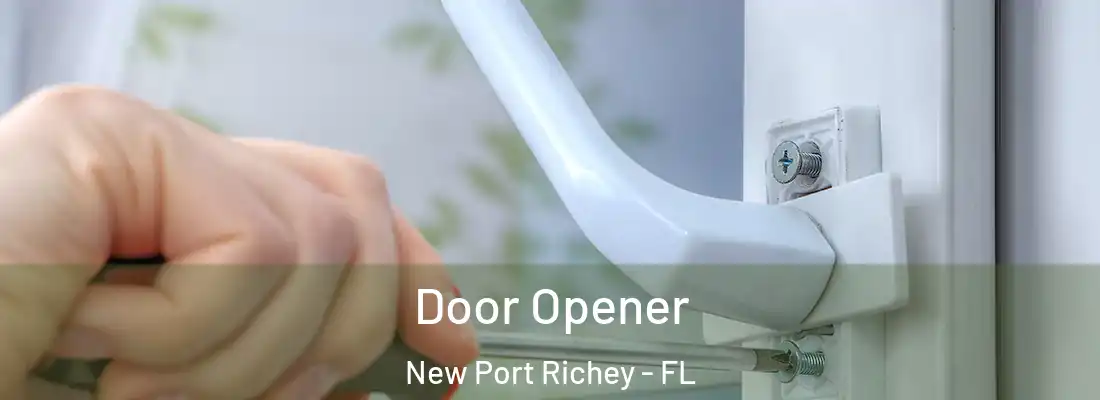  Door Opener New Port Richey - FL