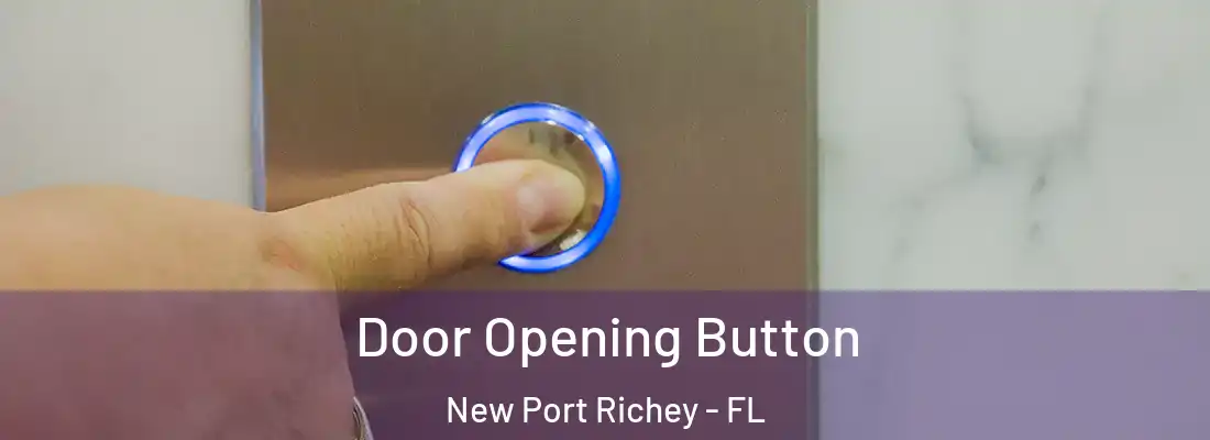  Door Opening Button New Port Richey - FL