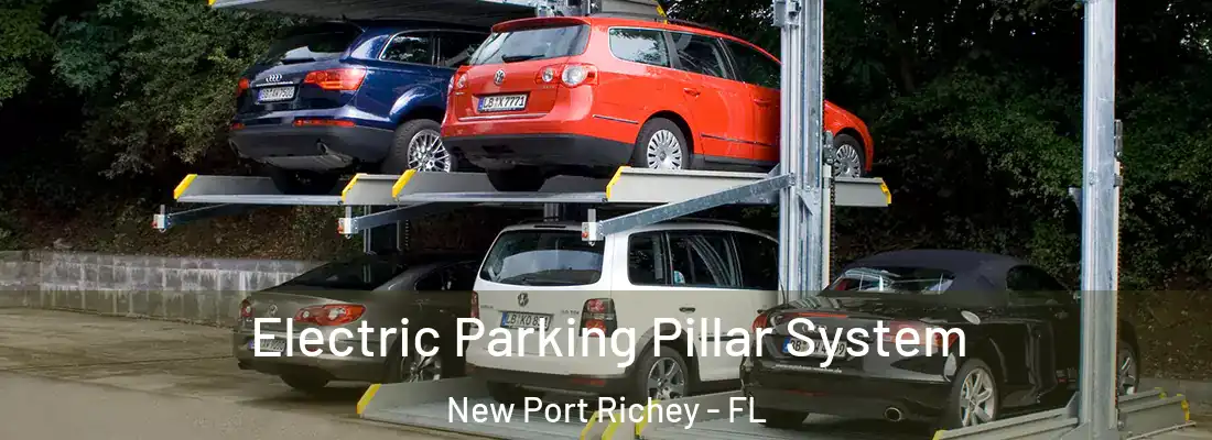  Electric Parking Pillar System New Port Richey - FL