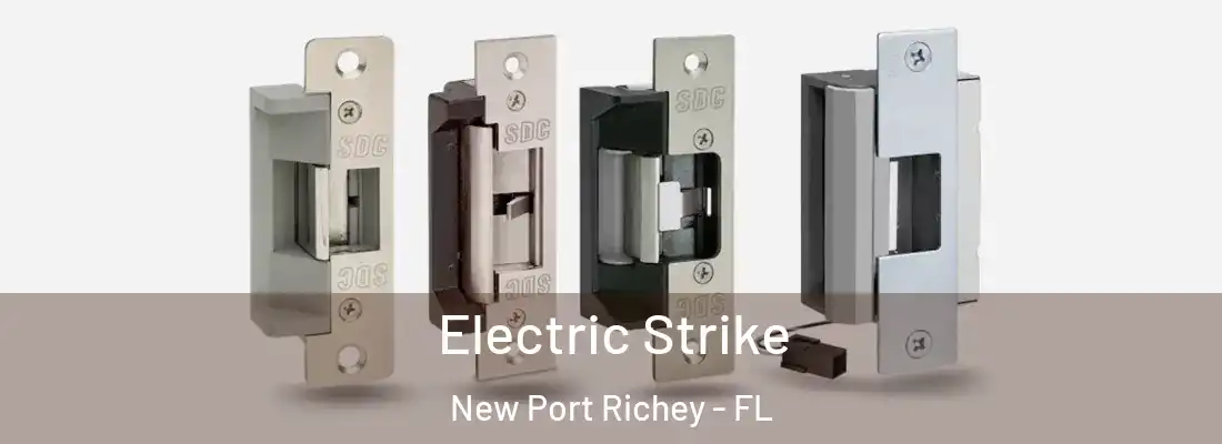  Electric Strike New Port Richey - FL