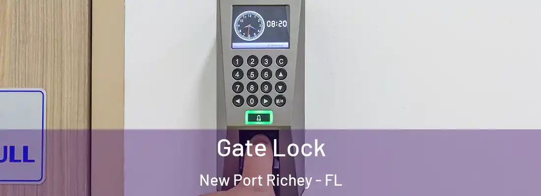  Gate Lock New Port Richey - FL