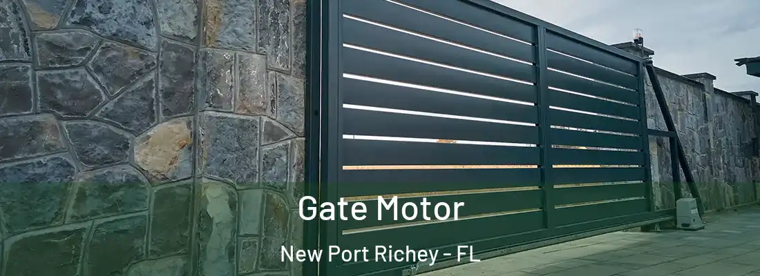 Gate Motor New Port Richey - FL