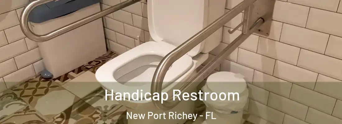  Handicap Restroom New Port Richey - FL