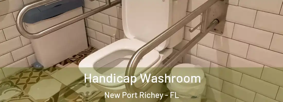  Handicap Washroom New Port Richey - FL