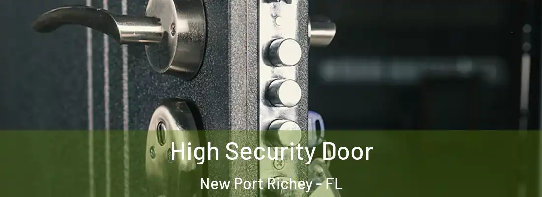  High Security Door New Port Richey - FL