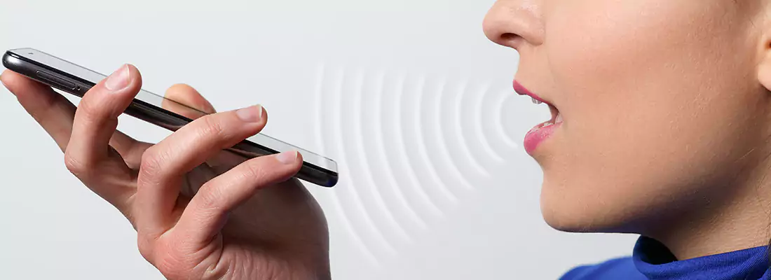 Residential and Commercial Voice Recognition Access Solutions in New Port Richey, FL