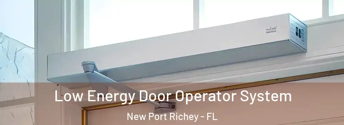  Low Energy Door Operator System New Port Richey - FL