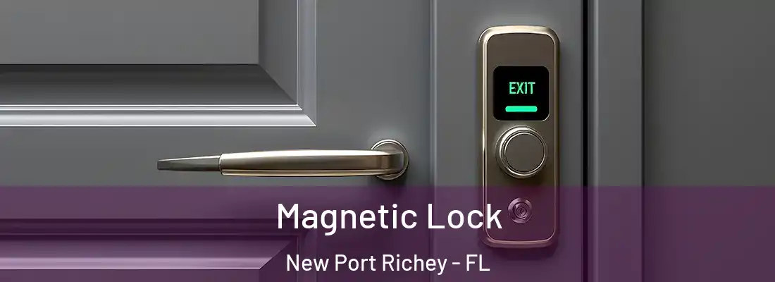  Magnetic Lock New Port Richey - FL