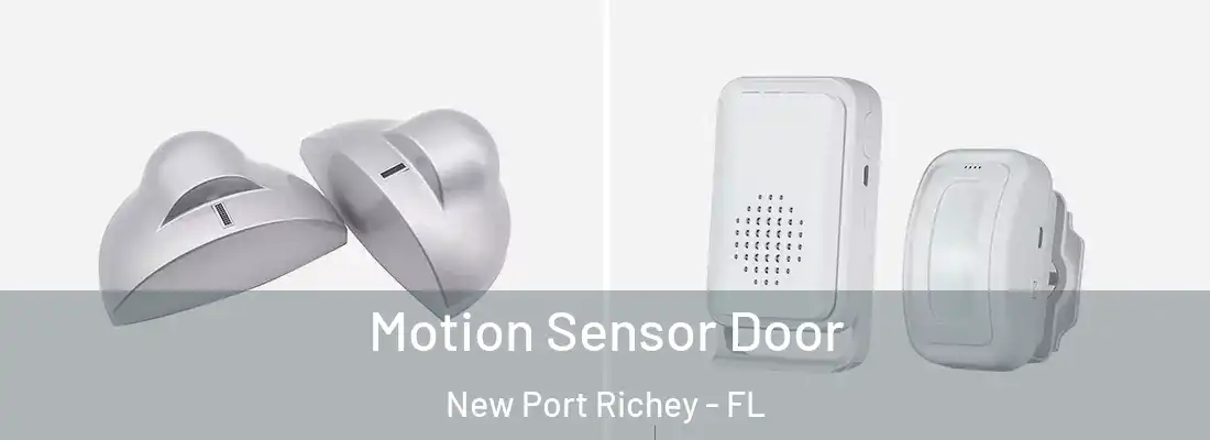 Motion Sensor Door New Port Richey - FL