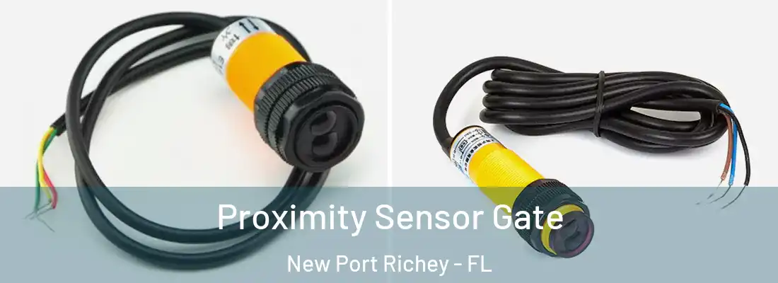 Proximity Sensor Gate New Port Richey - FL