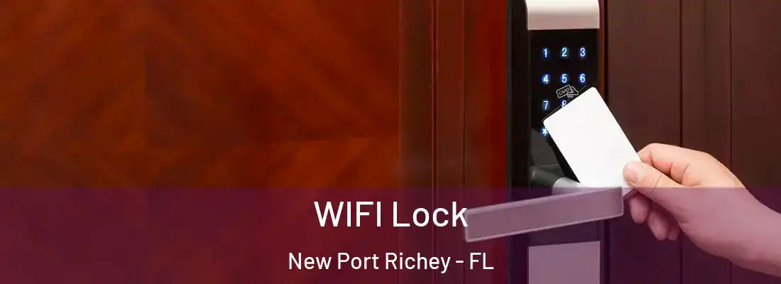  WIFI Lock New Port Richey - FL
